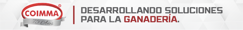 Banner Content