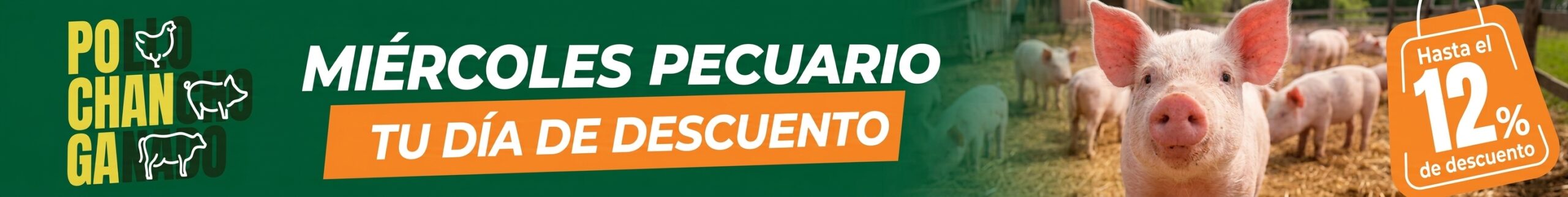 Banner Content